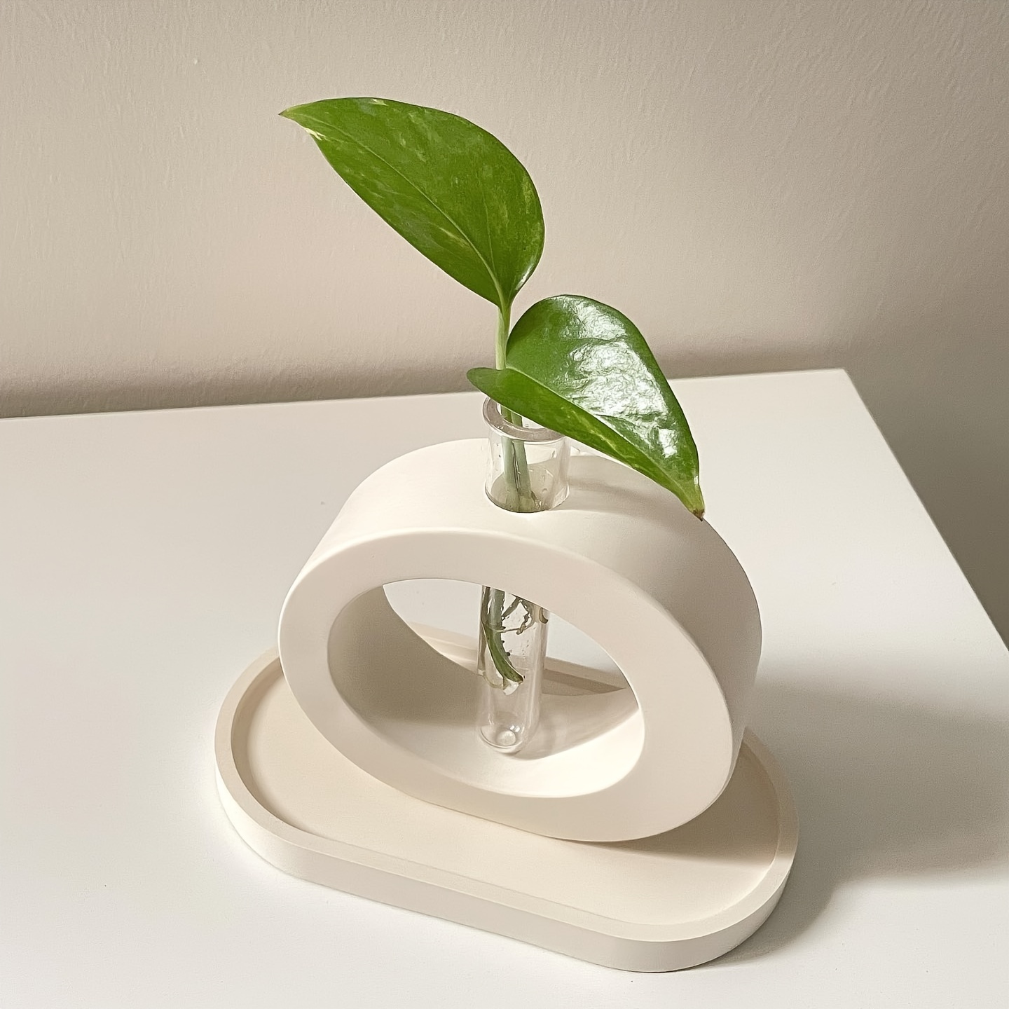 4 قطعة زهرة زهرية قالب من السي - مراجعة Propagation Station Vase وسعره