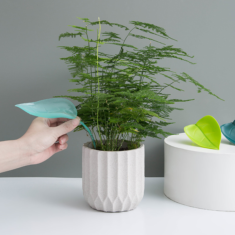 قمع ري إبداعي للنباتات في الأو - مراجعة Self Watering Insert وسعره