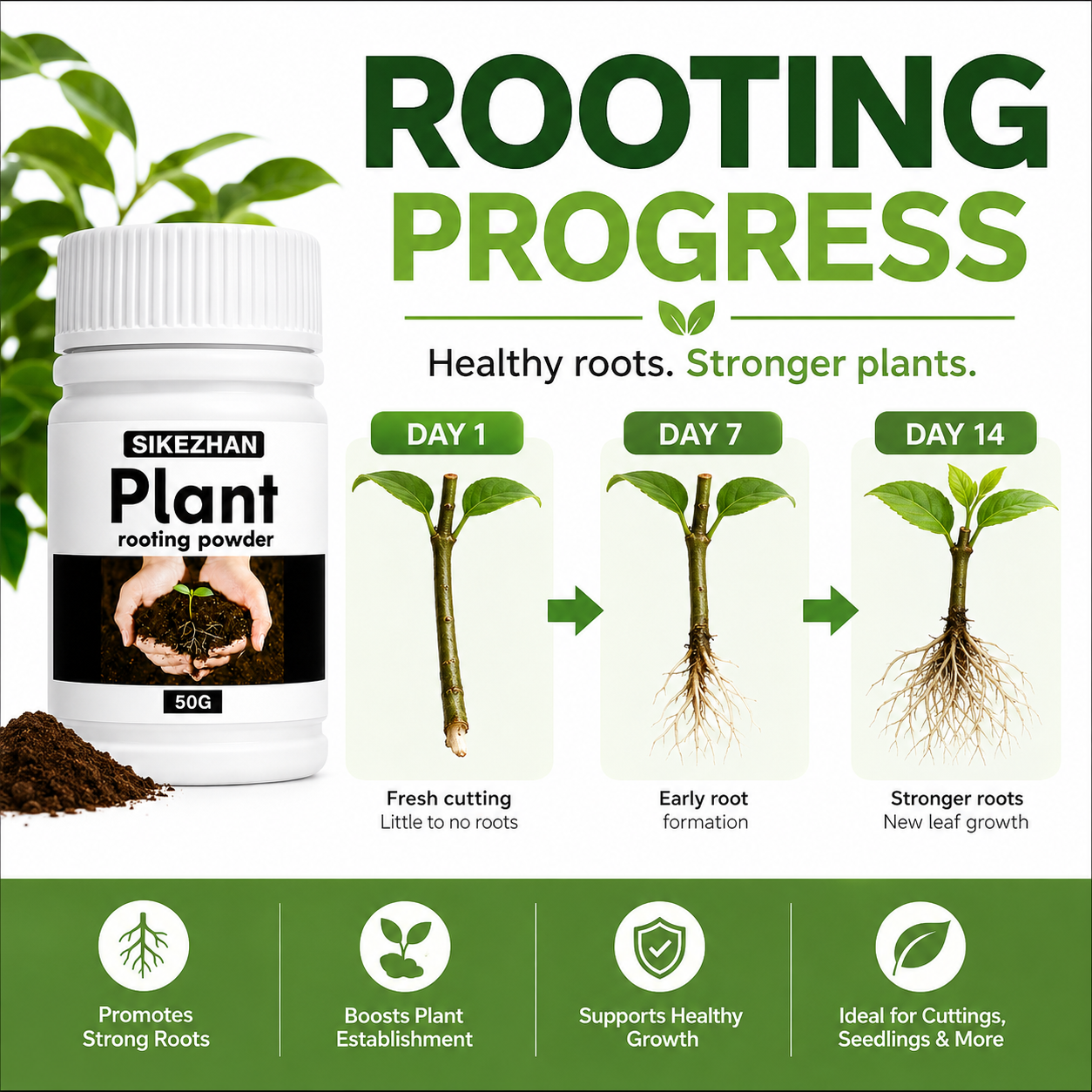 مسحوق تجذير سريع 50 جرام، هرمو - مراجعة Rooting Hormone Powder وسعره