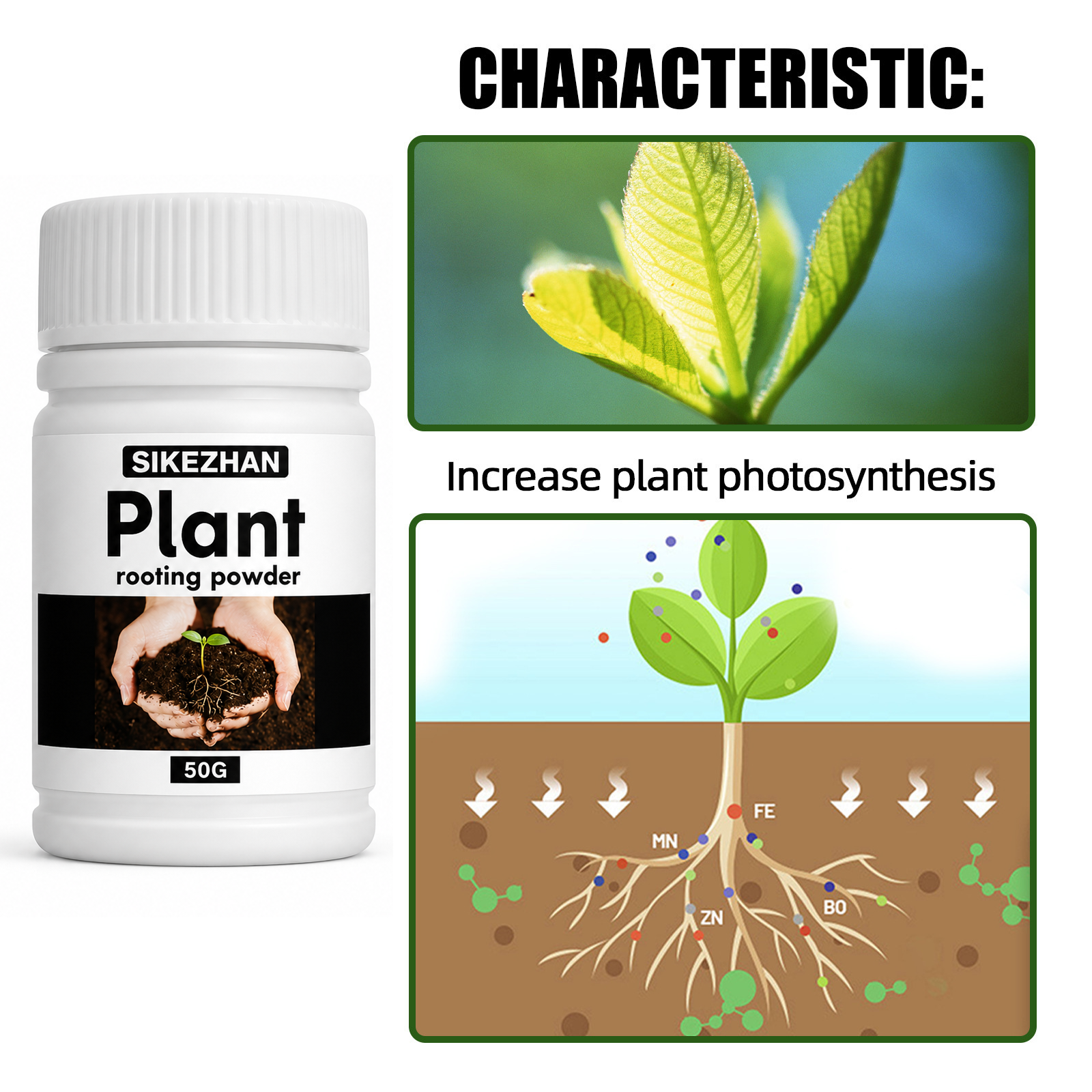 مسحوق تجذير سريع 50 جرام، هرمو - مراجعة Rooting Hormone Powder وسعره