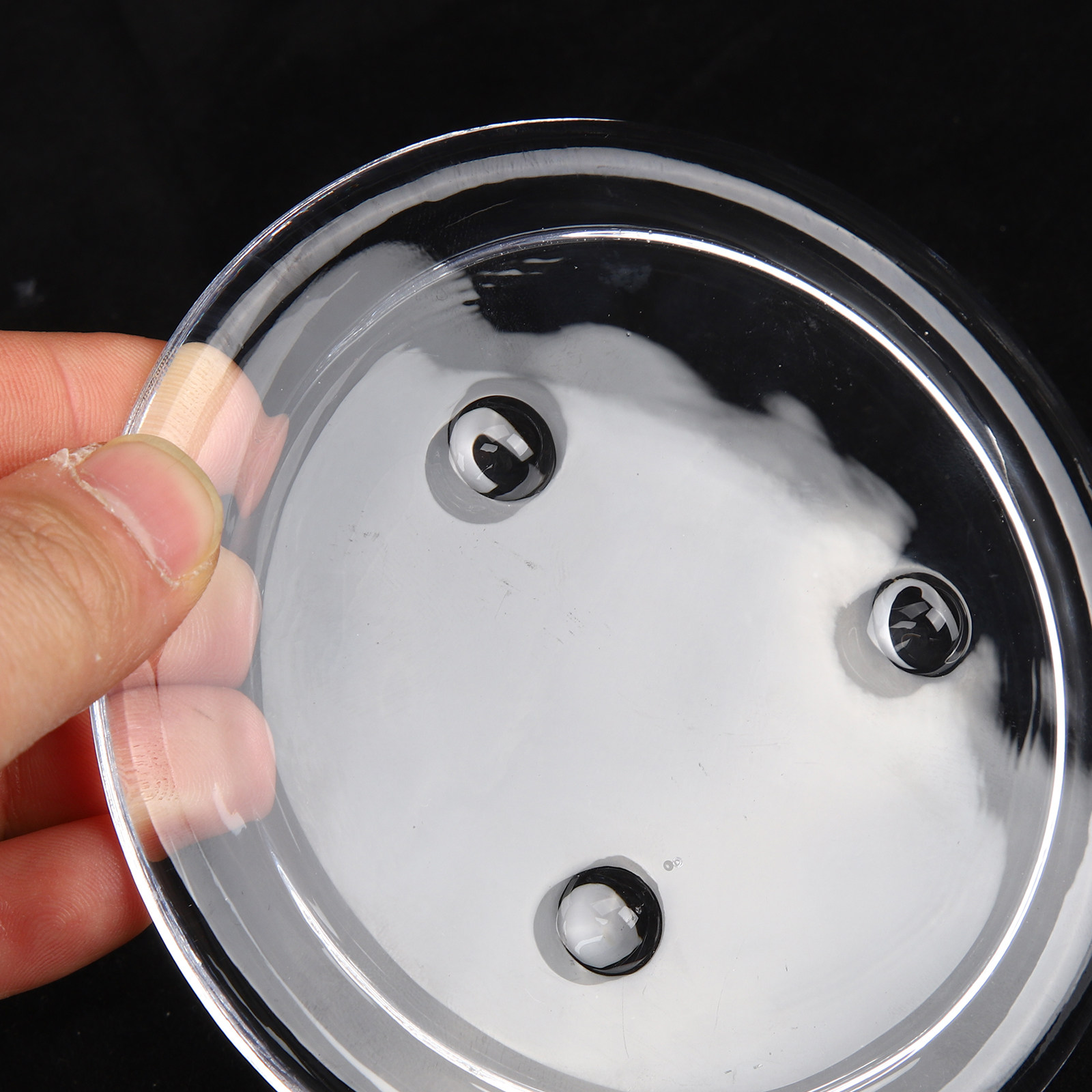 قبة عرض زجاجية شفافة للزهور ال - مراجعة Plastic Dome Clear وسعره