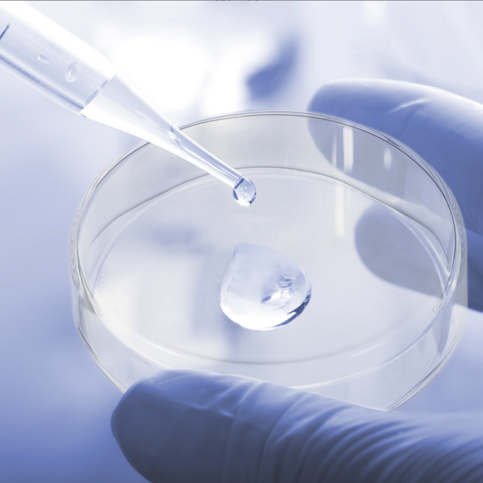 طقم أطباق بتري زجاجية سميكة قا - مراجعة Agar Tissue Culture وسعره