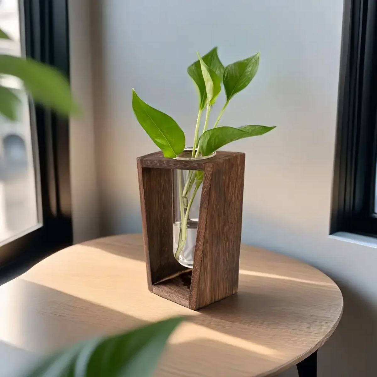 محطة تكاثر النباتات، مزهرية هي - مراجعة Propagation Station Vase وسعره