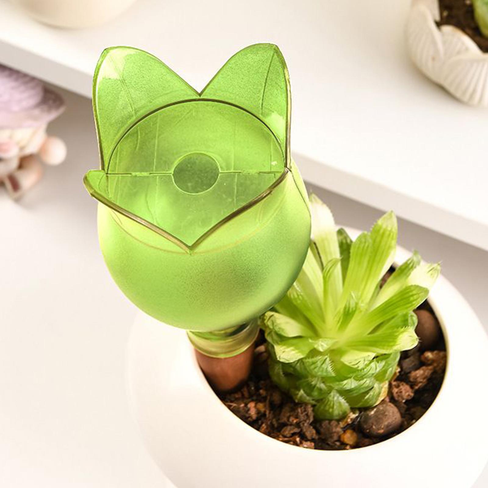 زارع سقي ذاتي إدراج نباتات الز - مراجعة Self Watering Insert وسعره