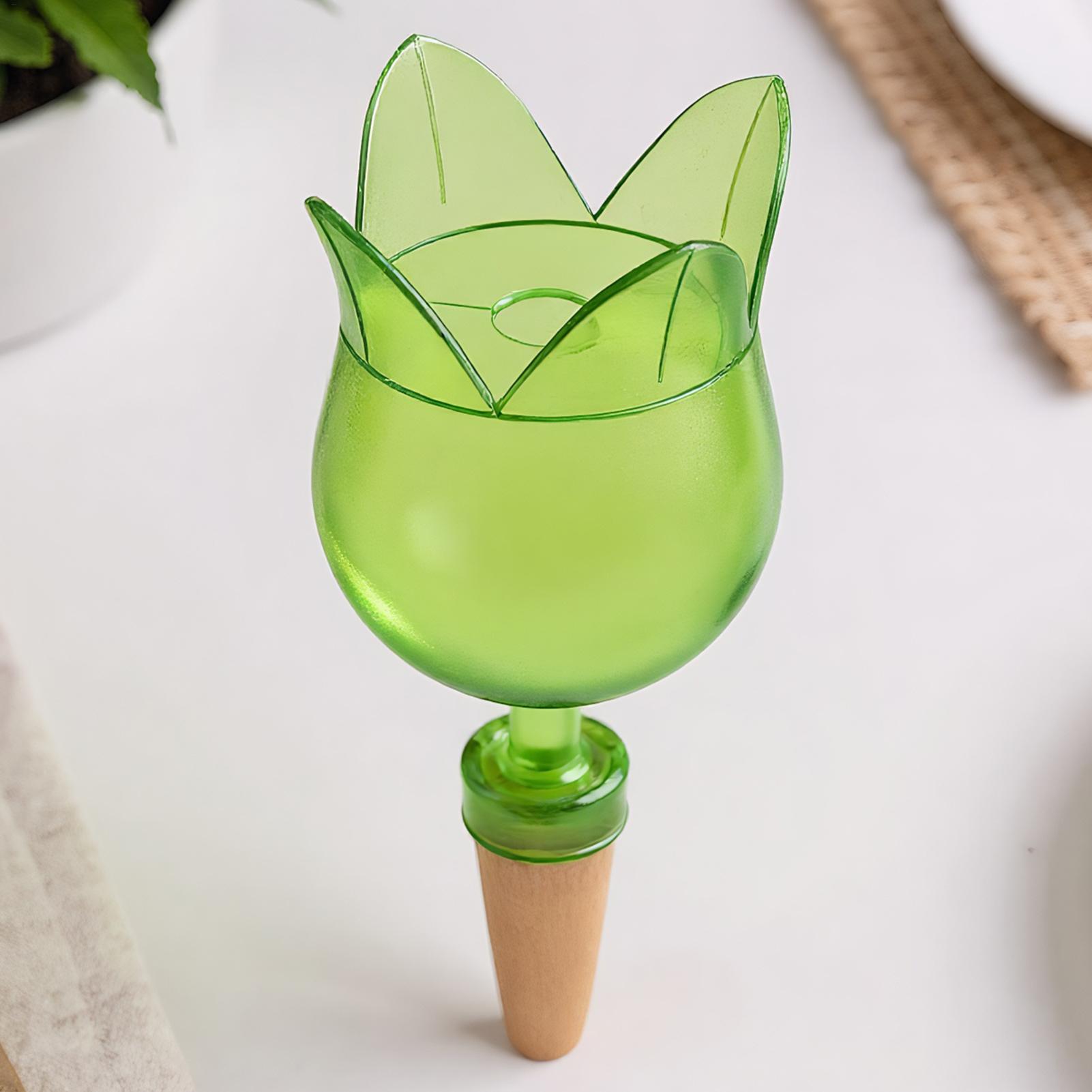 زارع سقي ذاتي إدراج نباتات الز - مراجعة Self Watering Insert وسعره