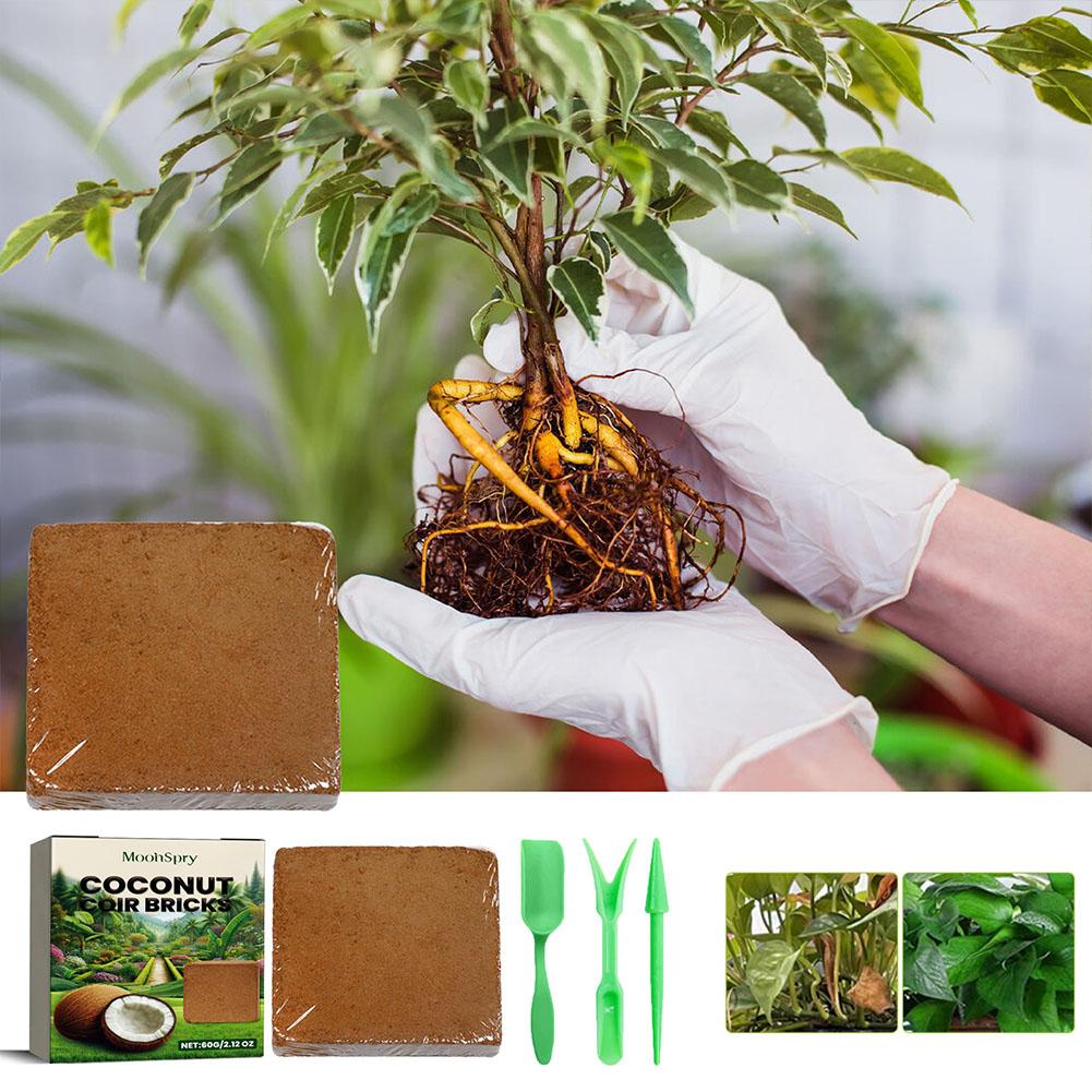 طوب ألياف جوز الهند - تربة عضو - مراجعة Sphagnum Moss Dry وسعره