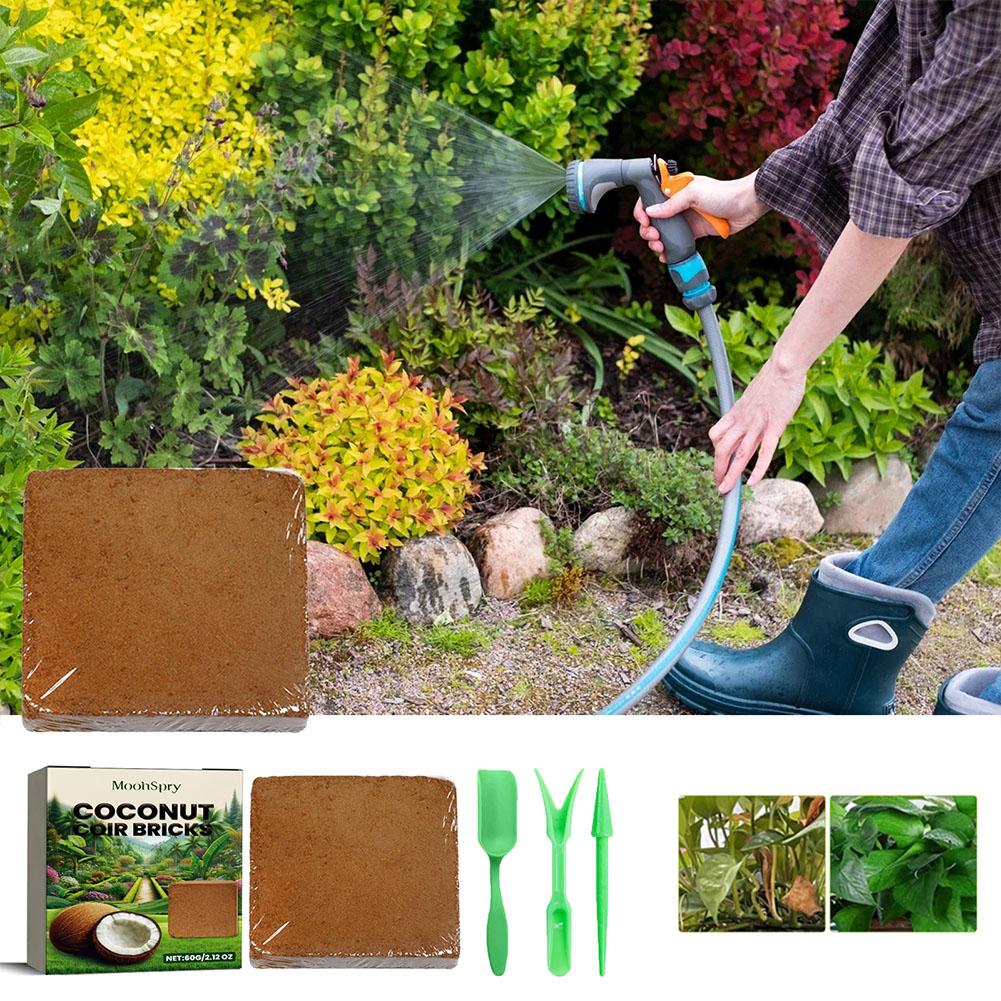 طوب ألياف جوز الهند - تربة عضو - مراجعة Sphagnum Moss Dry وسعره