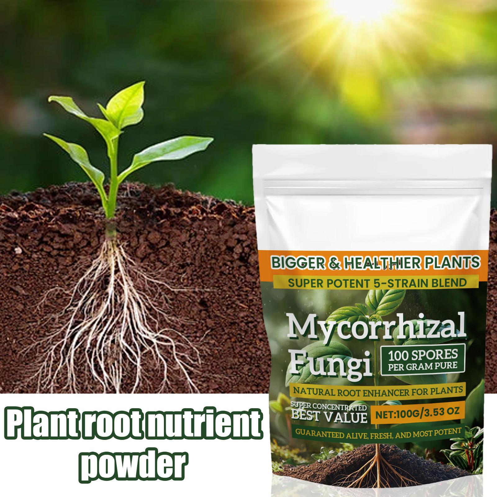مسحوق مغذي جديد للنباتات 100 ج - مراجعة Rooting Hormone Powder وسعره
