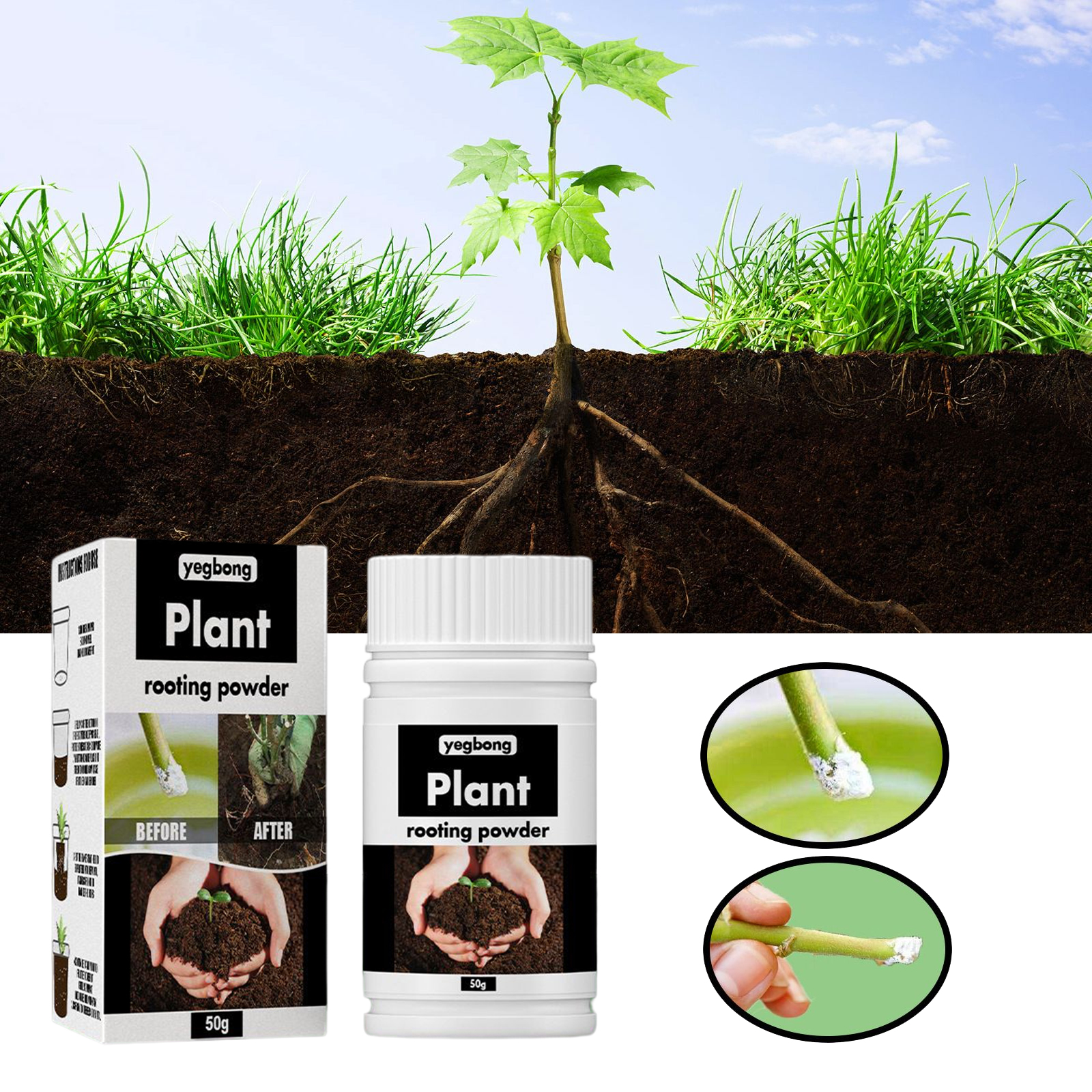 1 مسحوق تأصيل النباتات النادرة - مراجعة Rooting Hormone Powder وسعره