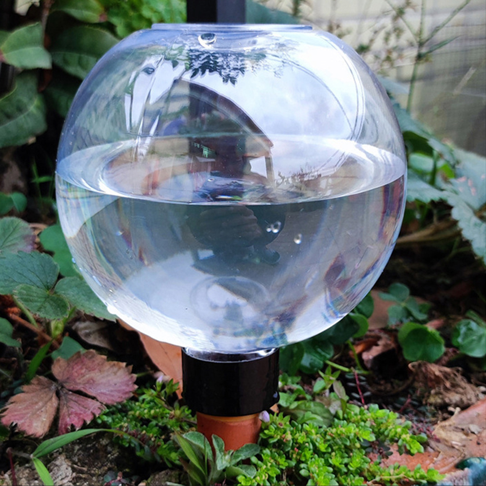 2 قطعة/4 قطعة جهاز سقي الزهور  - مراجعة Self Watering Insert وسعره