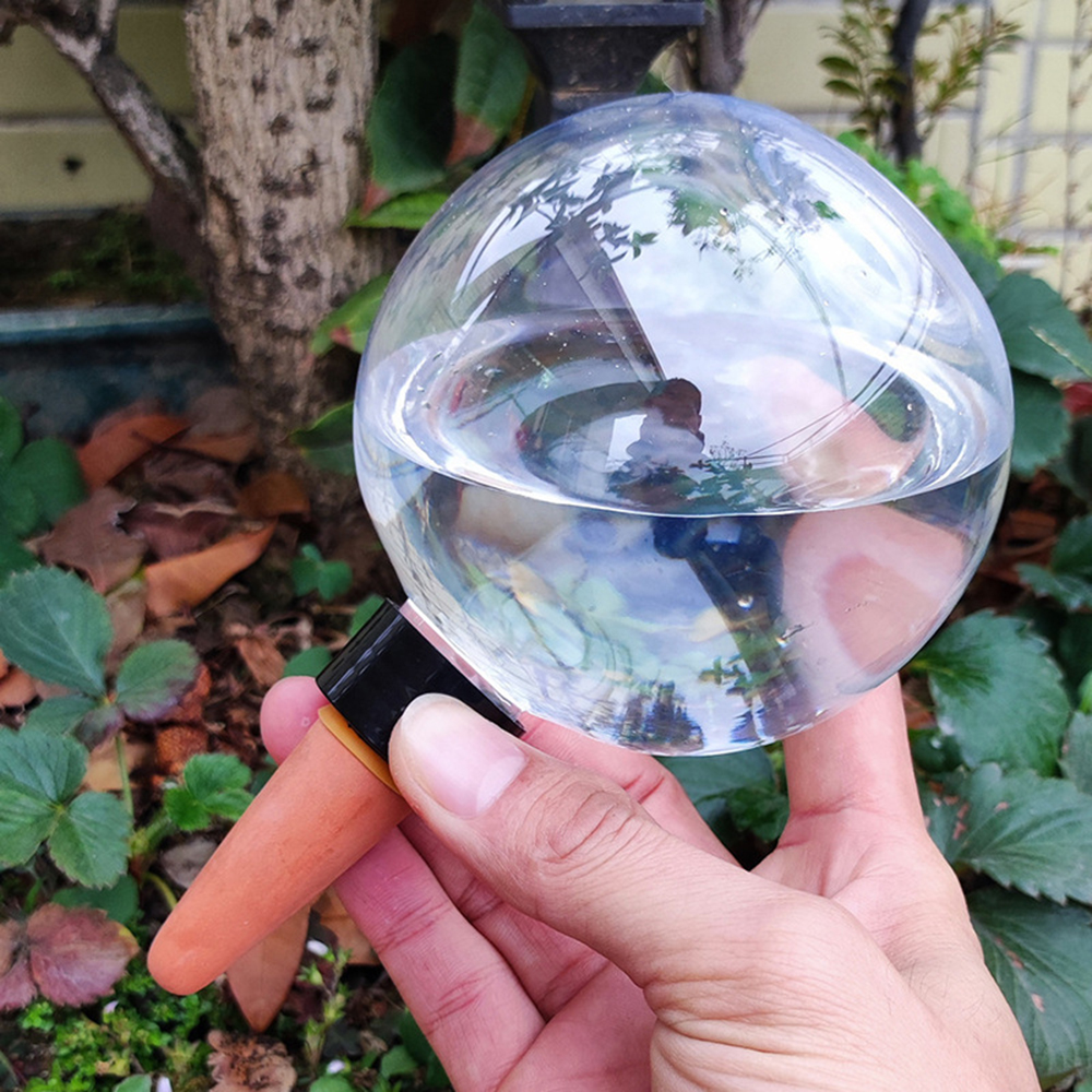 2 قطعة/4 قطعة جهاز سقي الزهور  - مراجعة Self Watering Insert وسعره