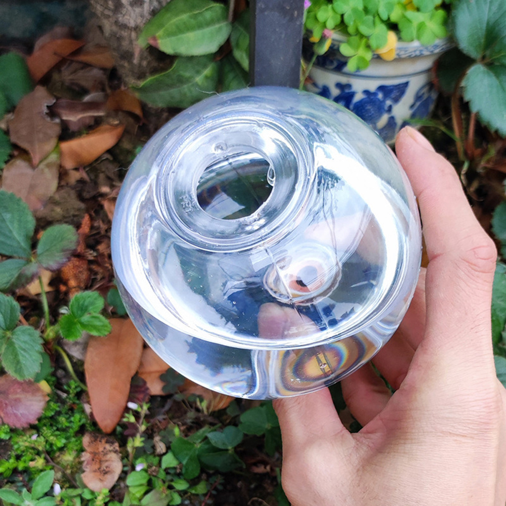 2 قطعة/4 قطعة جهاز سقي الزهور  - مراجعة Self Watering Insert وسعره