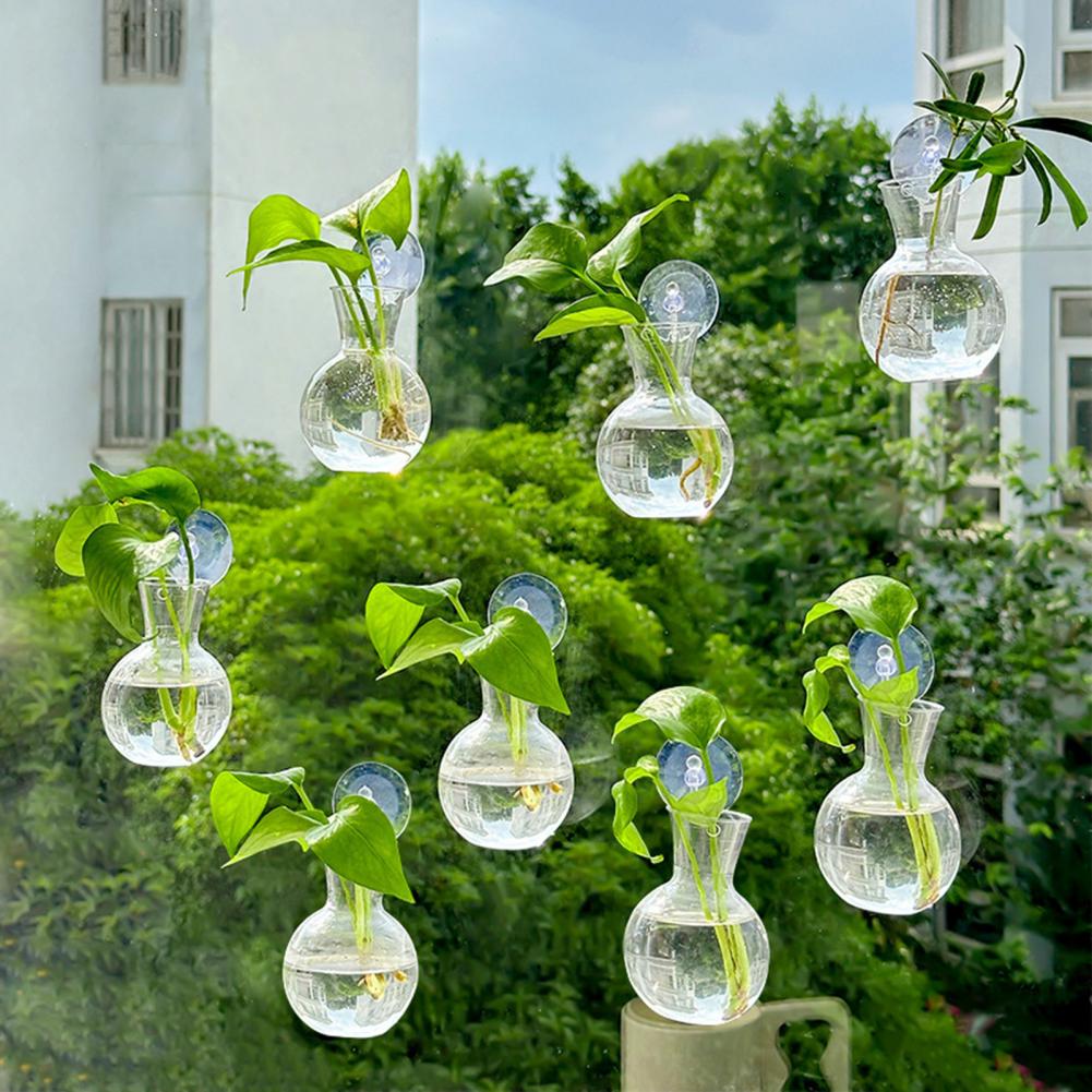 حامل نباتات للنوافذ، مزهرية نا - مراجعة Propagation Station Vase وسعره