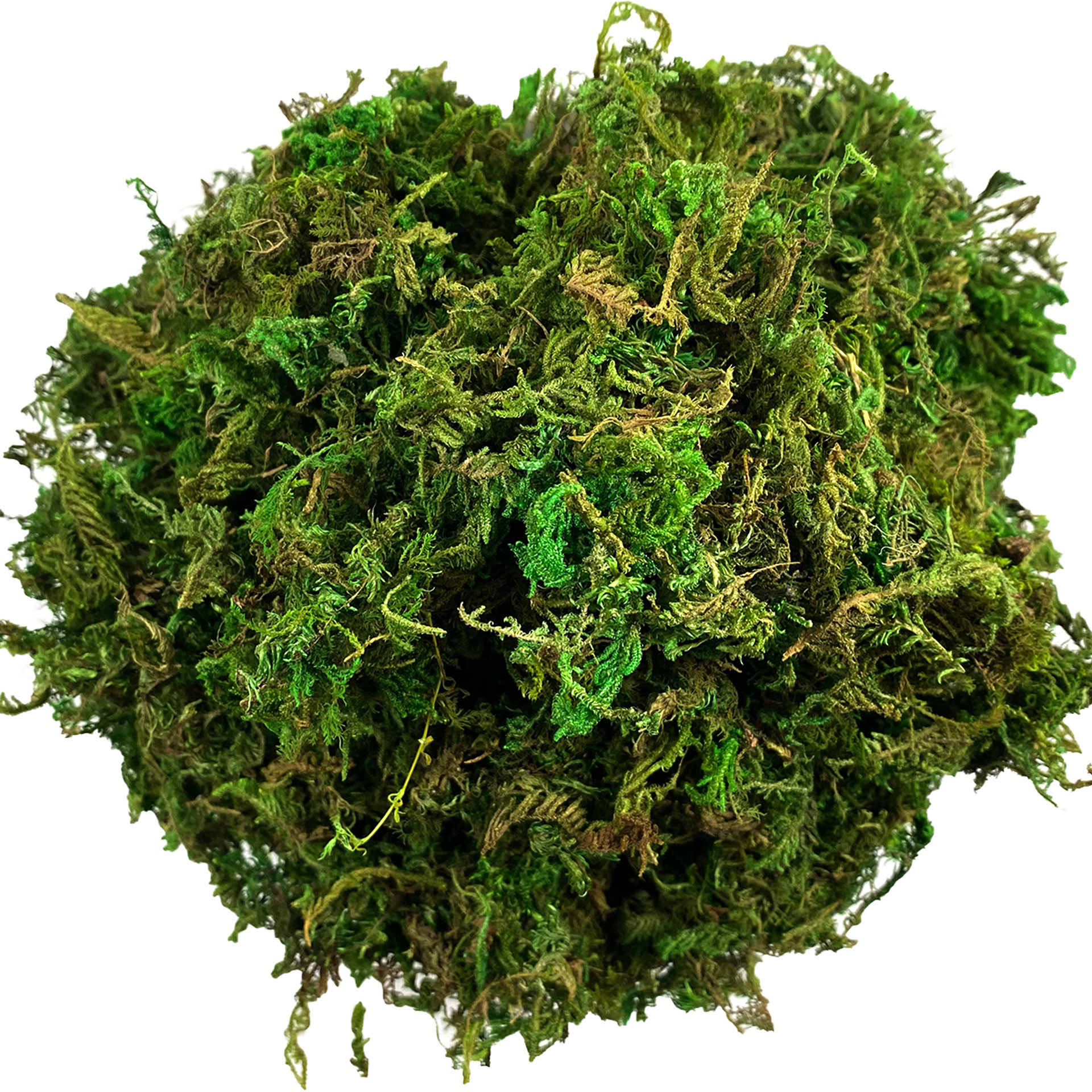 الطحلب الاصطناعي الأخضر للنبات - مراجعة Sphagnum Moss Dry وسعره