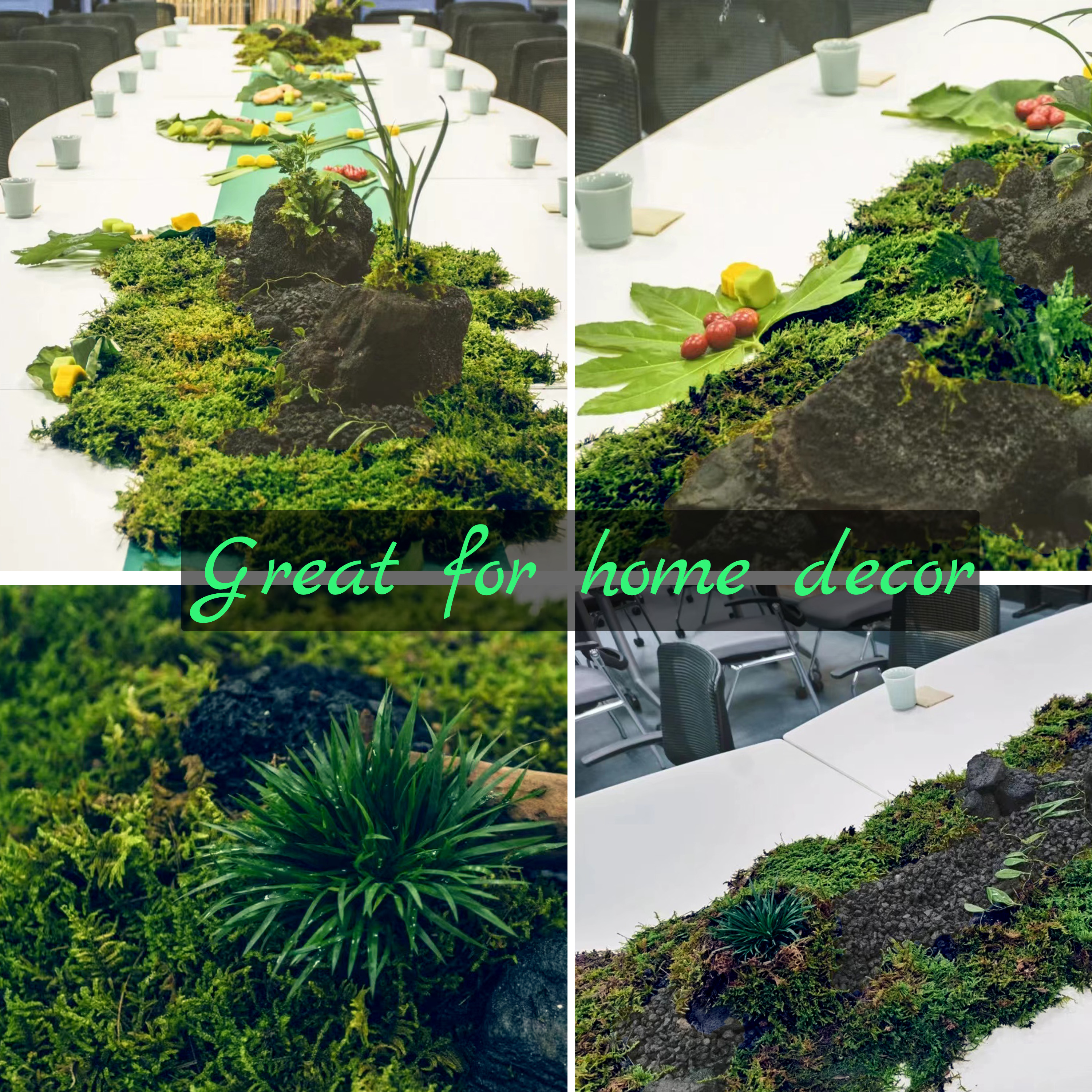 الطحلب الاصطناعي الأخضر للنبات - مراجعة Sphagnum Moss Dry وسعره