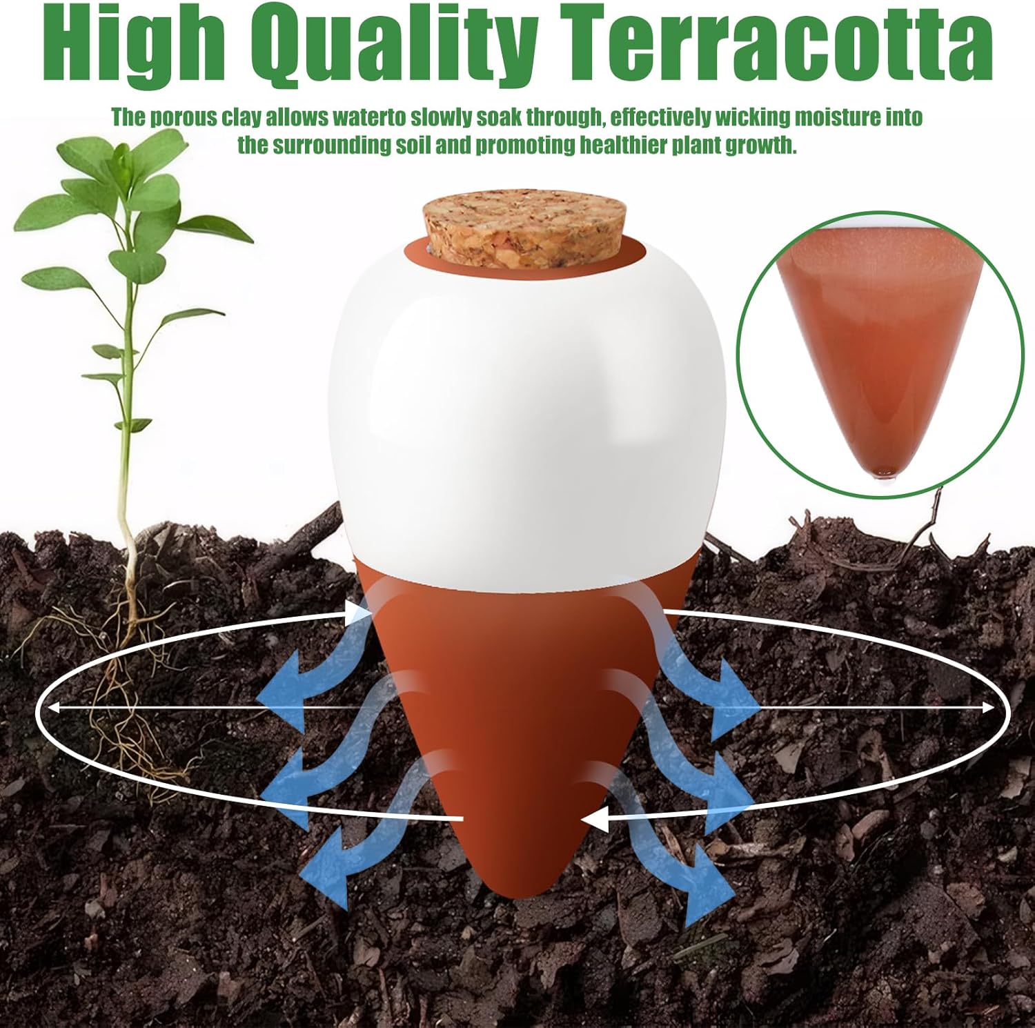 أداة سقي نباتات التيراكوتا، كر - مراجعة Self Watering Insert وسعره