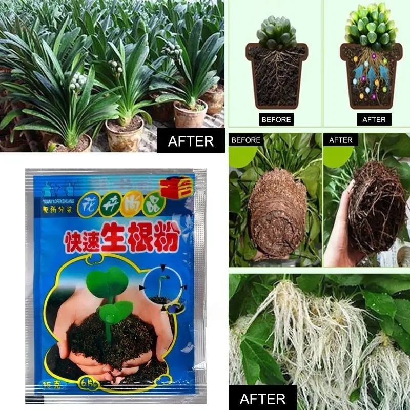 5 قطعة مسحوق تأصيل سريع النبات - مراجعة Rooting Hormone Powder وسعره