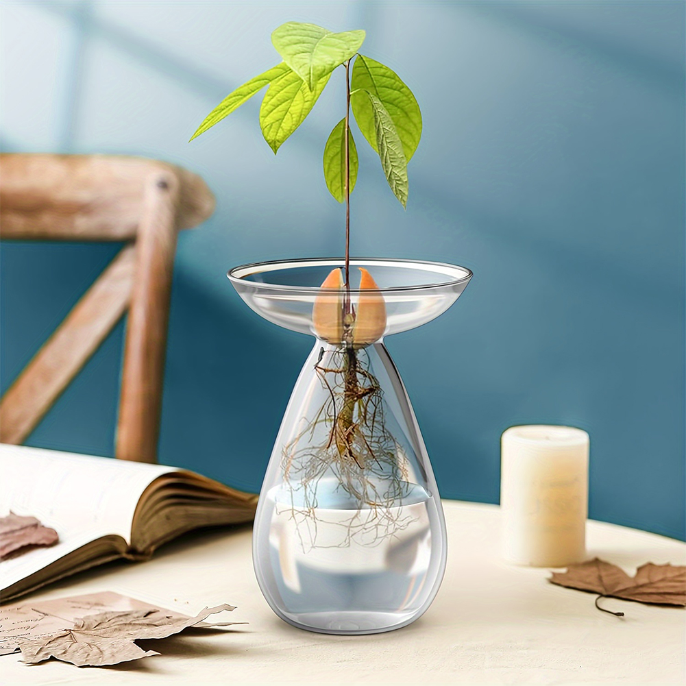 مزهرية زجاجية شفافة لبدء زراعة - مراجعة Propagation Station Vase وسعره