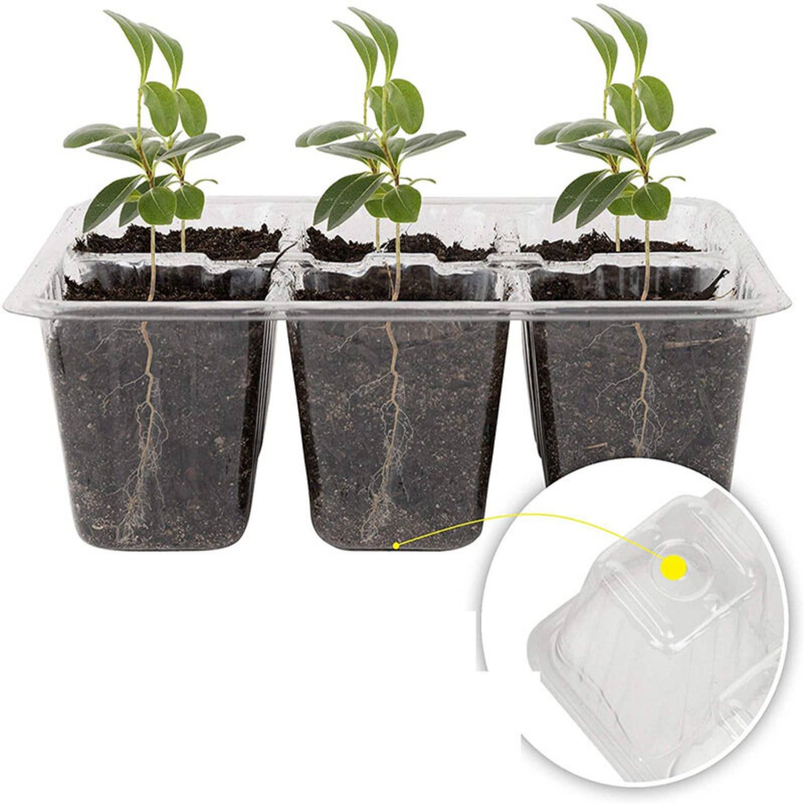 صينية إنبات بـ 12 حجرة مع غطاء - مراجعة Humidity Dome Kit وسعره
