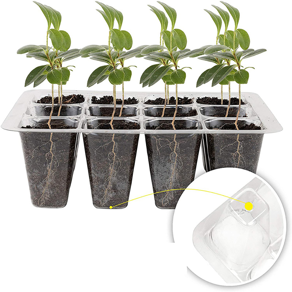 صواني بداية البذور مع ضوء النم - مراجعة Humidity Dome Kit وسعره