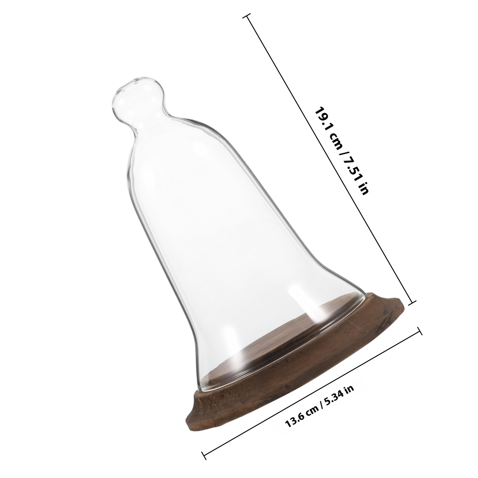 قبة زجاجية شفافة من البوروسيلي - مراجعة Plastic Dome Clear وسعره