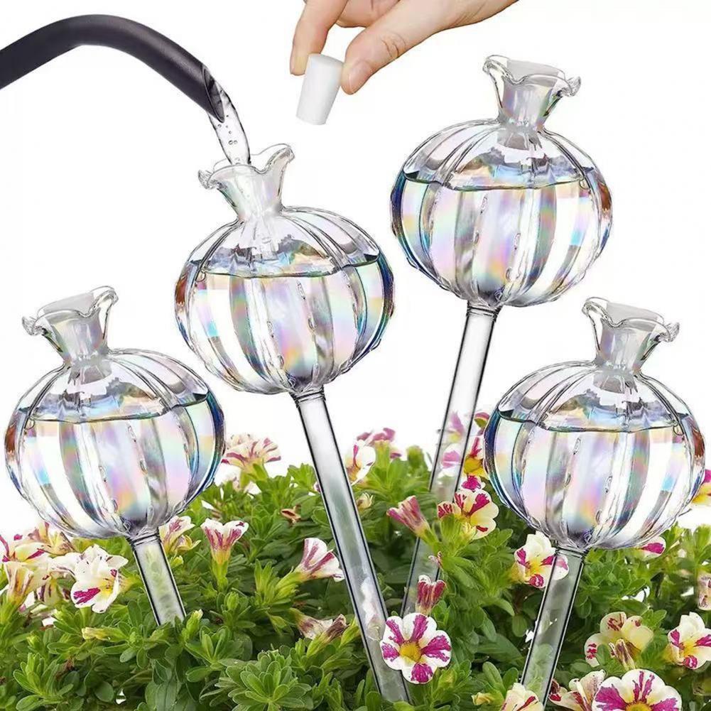 24 سنتيمتر الصبار الذاتي سقي ل - مراجعة Self Watering Insert وسعره