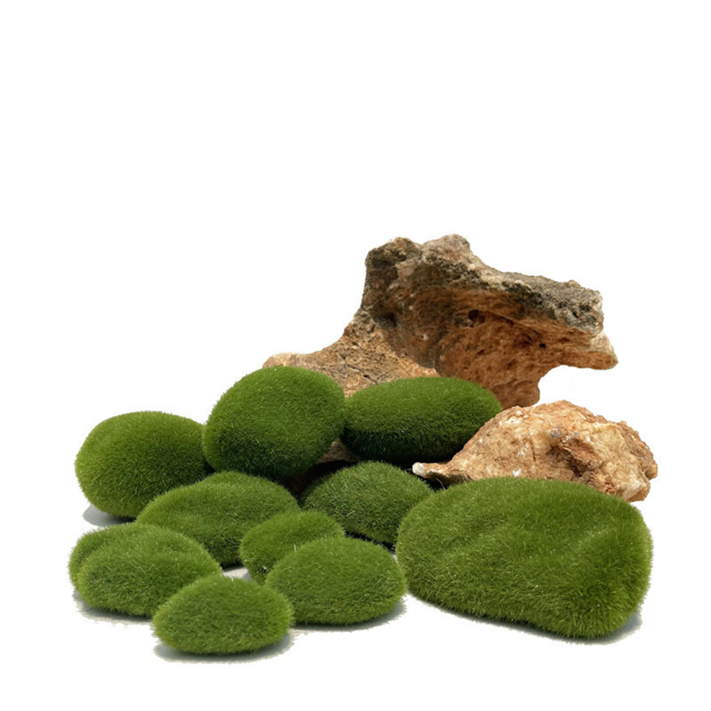 الاصطناعي وهمية الطحلب الصخور  - مراجعة Sphagnum Moss Dry وسعره