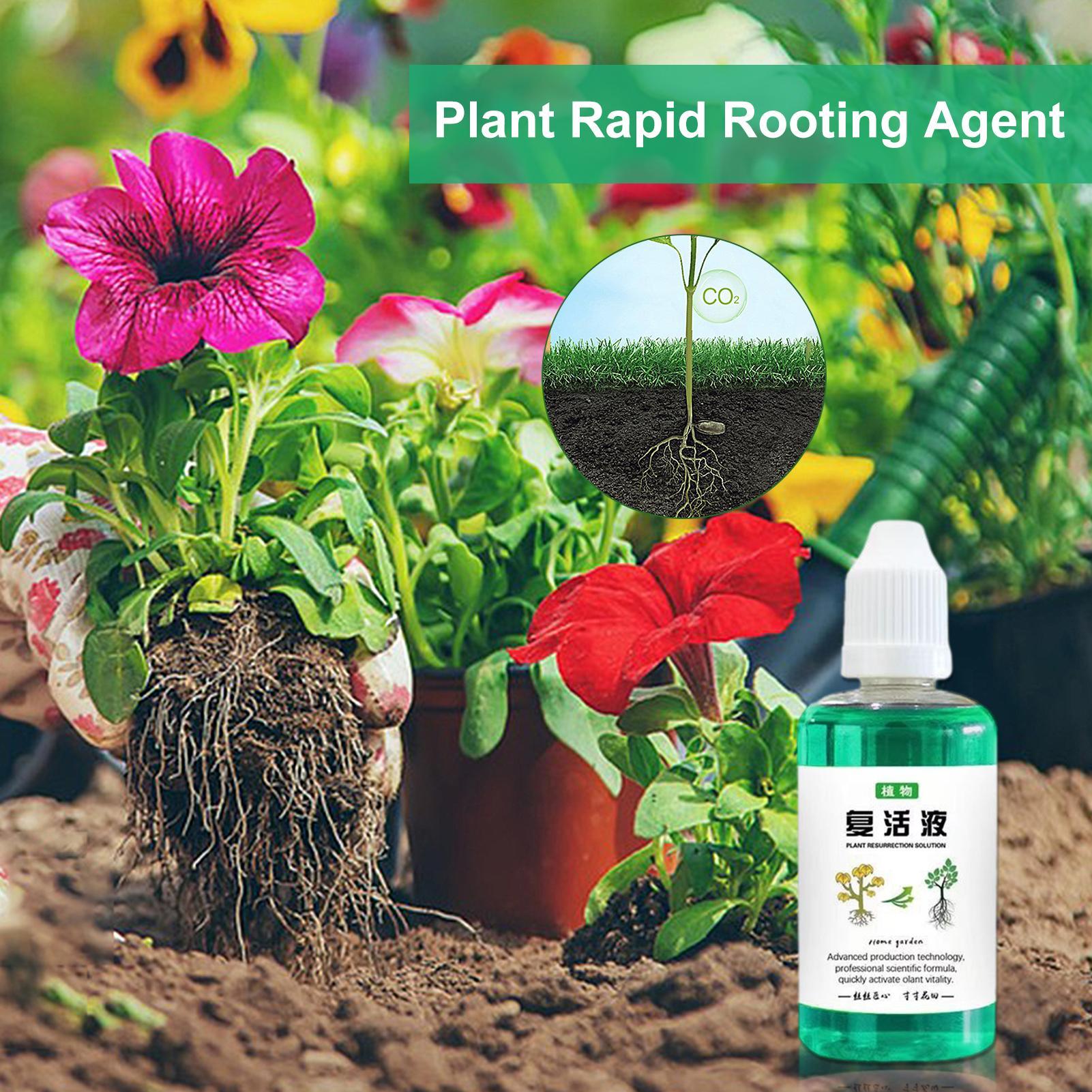 محفز جذور النباتات 50 مل، معزز - مراجعة Root Stimulator Liquid وسعره