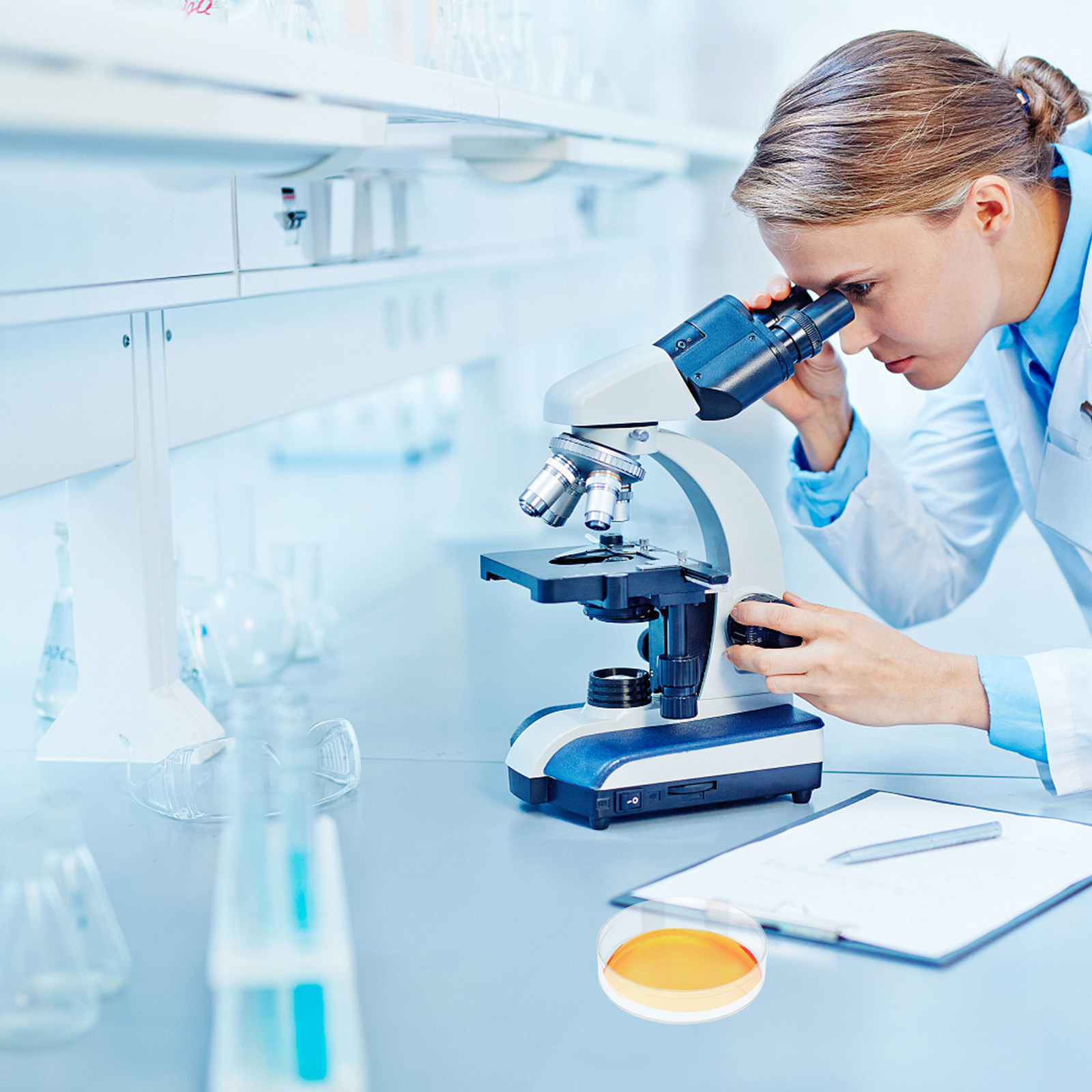 30 قطعة من أطباق بتري البلاستي - مراجعة Agar Tissue Culture وسعره