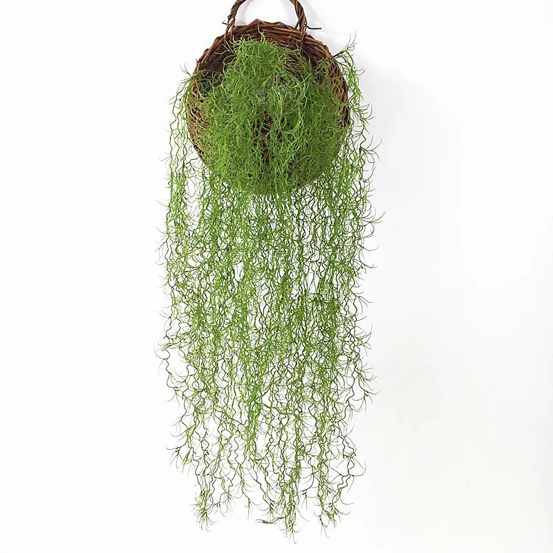 1/3/5 قطع نباتات عشبية خضراء ا - مراجعة Sphagnum Moss Dry وسعره