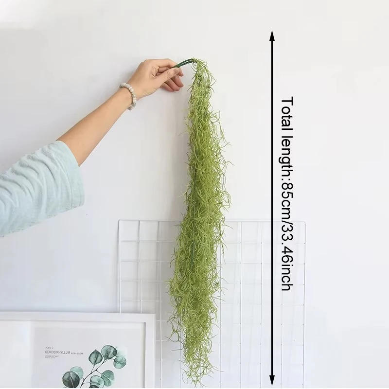 1/3/5 قطع نباتات عشبية خضراء ا - مراجعة Sphagnum Moss Dry وسعره