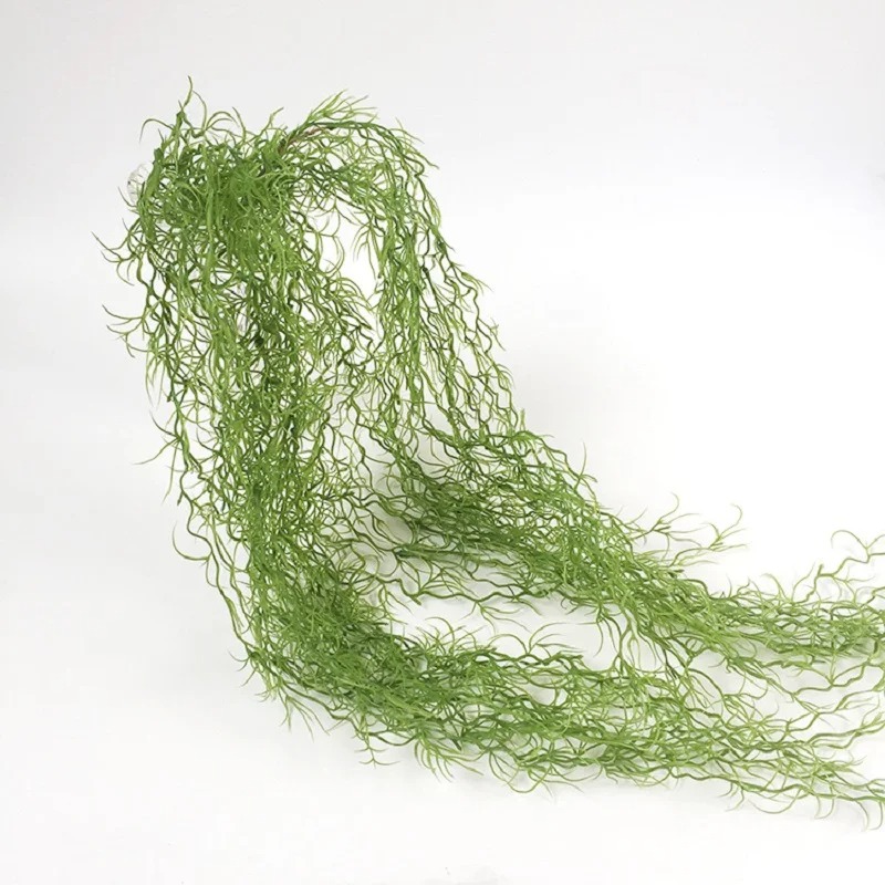 1/3/5 قطع نباتات عشبية خضراء ا - مراجعة Sphagnum Moss Dry وسعره