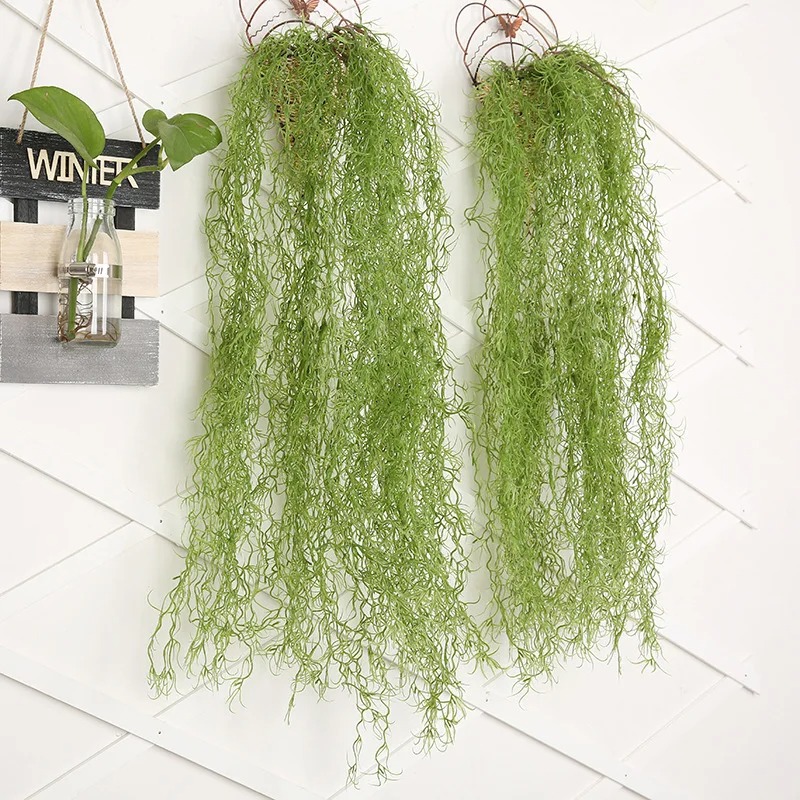 1/3/5 قطع نباتات عشبية خضراء ا - مراجعة Sphagnum Moss Dry وسعره