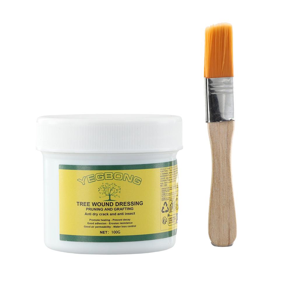 100 جرام شجرة تطعيم لصق شجرة ا - مراجعة Rooting Hormone Powder وسعره