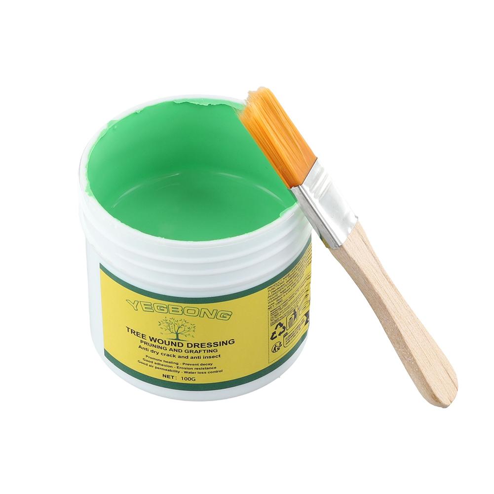 100 جرام شجرة تطعيم لصق شجرة ا - مراجعة Rooting Hormone Powder وسعره