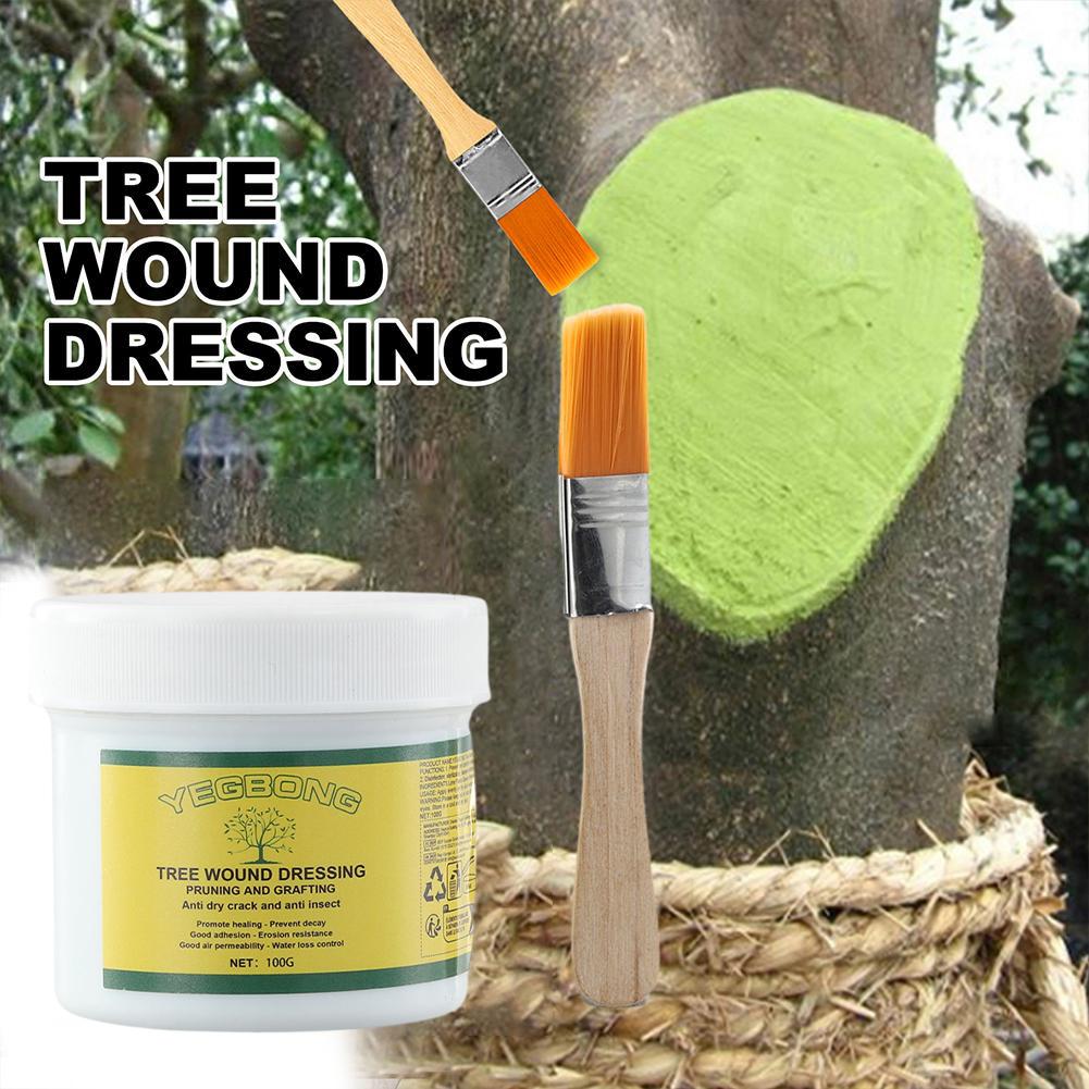 100 جرام شجرة تطعيم لصق شجرة ا - مراجعة Rooting Hormone Powder وسعره