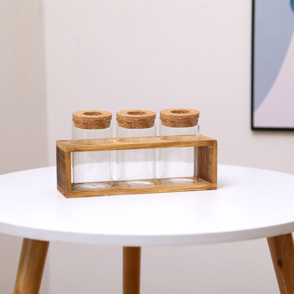 مزهرية زجاجية بسيطة مع إطار خش - مراجعة Propagation Station Vase وسعره
