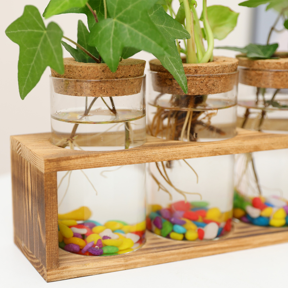 مزهرية زجاجية بسيطة مع إطار خش - مراجعة Propagation Station Vase وسعره