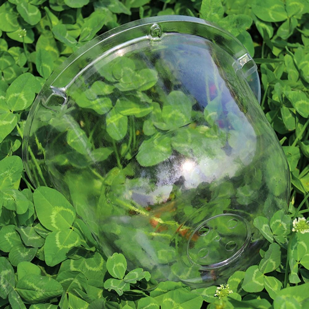 غطاء حماية شفاف قابل لإعادة ال - مراجعة Plastic Dome Clear وسعره