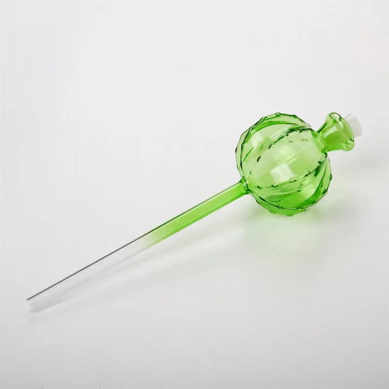 جهاز سقي زجاجي إبداعي للنباتات - مراجعة Self Watering Insert وسعره