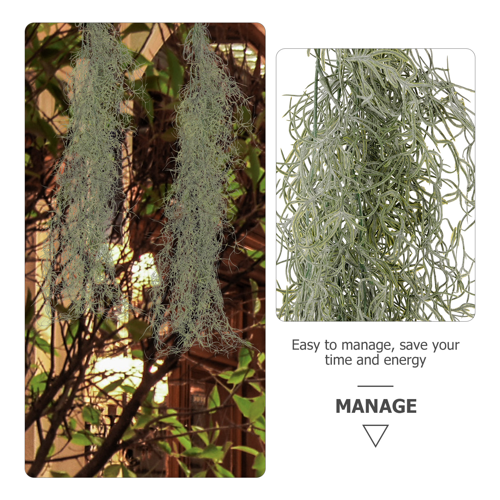 ديكور معلق زهور مجففة اصطناعية - مراجعة Sphagnum Moss Dry وسعره