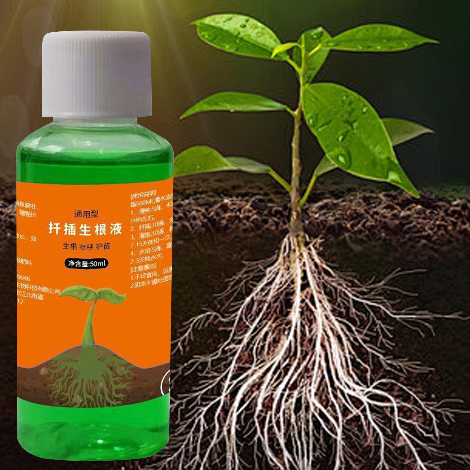 محفز جذور عالي الكفاءة لقصاصات - مراجعة Root Stimulator Liquid وسعره
