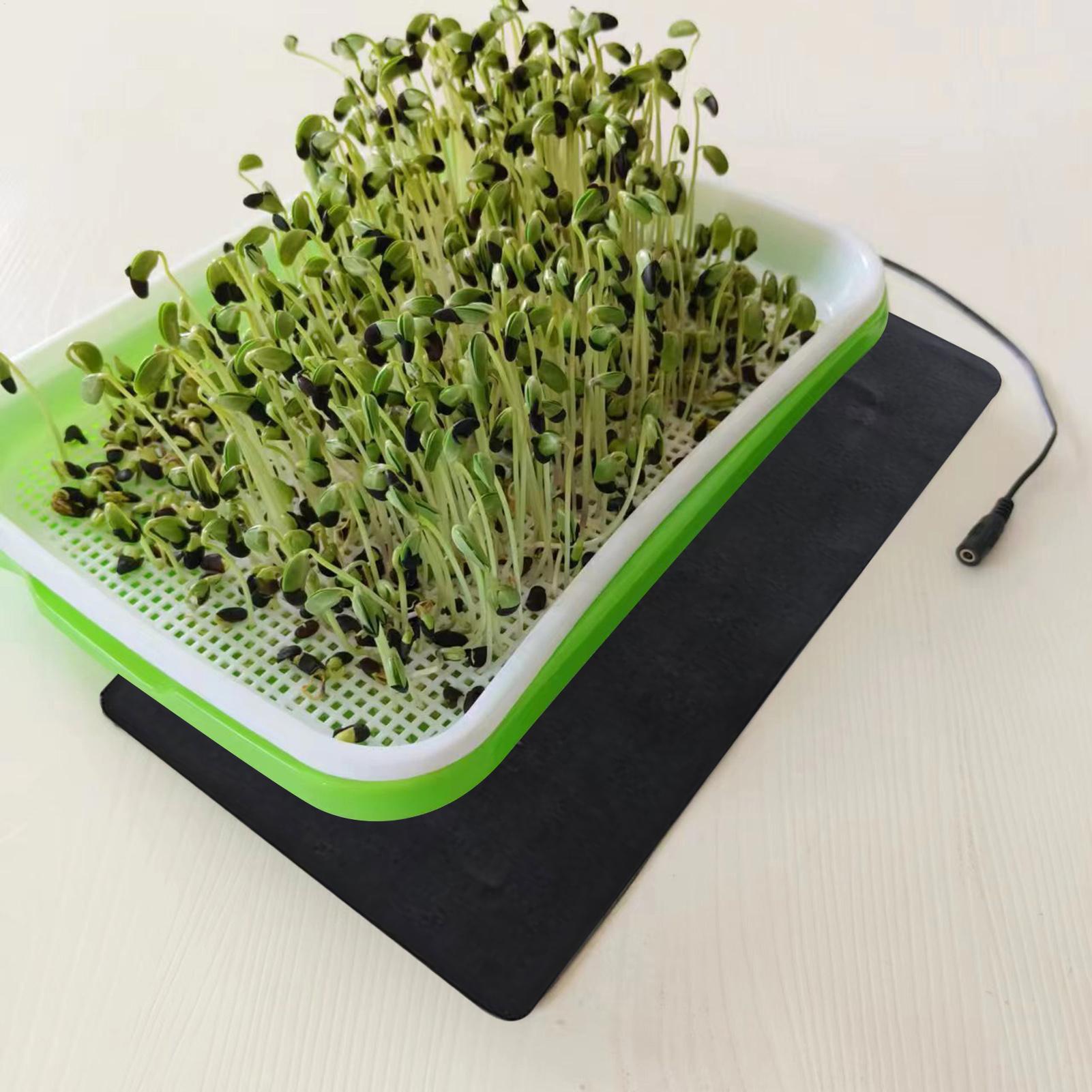 بساط حراري للشتلات بقوة 8.5 وا - مراجعة Heat Mat Seedling وسعره