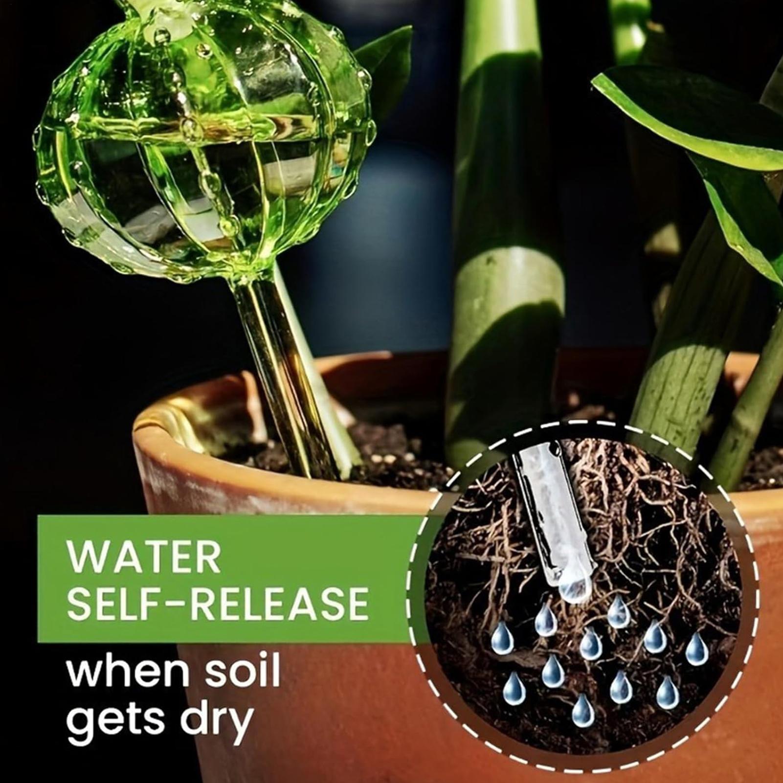 أوتاد سقي النباتات 3 قطع، ذاتي - مراجعة Self Watering Insert وسعره