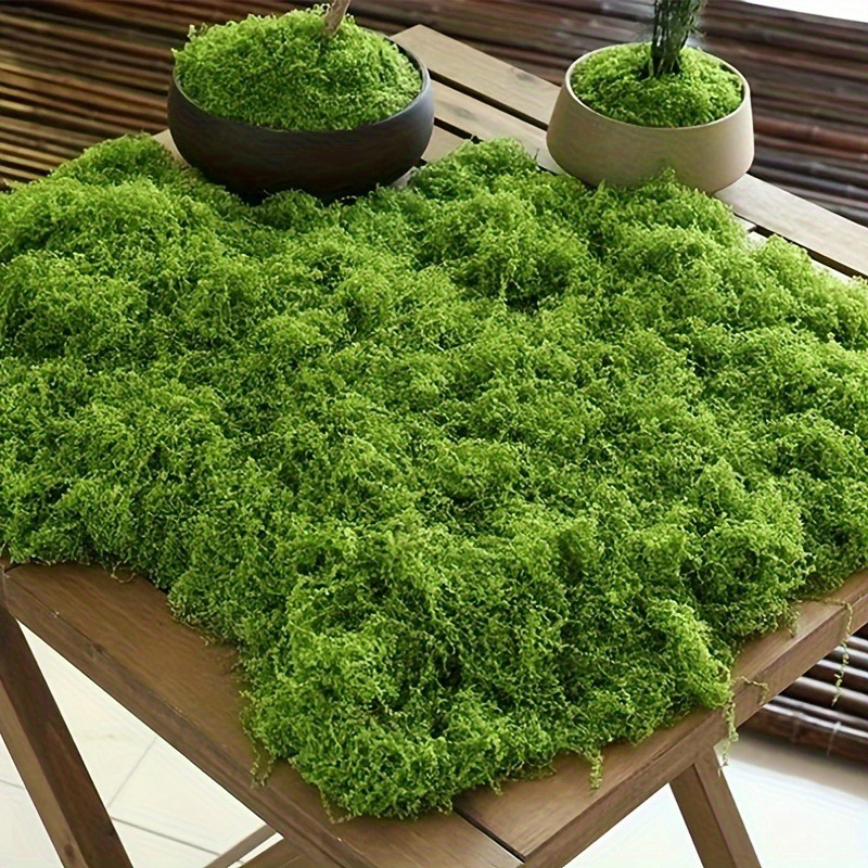 الطحلب الأخضر المزيف DIY الحرف - مراجعة Sphagnum Moss Dry وسعره