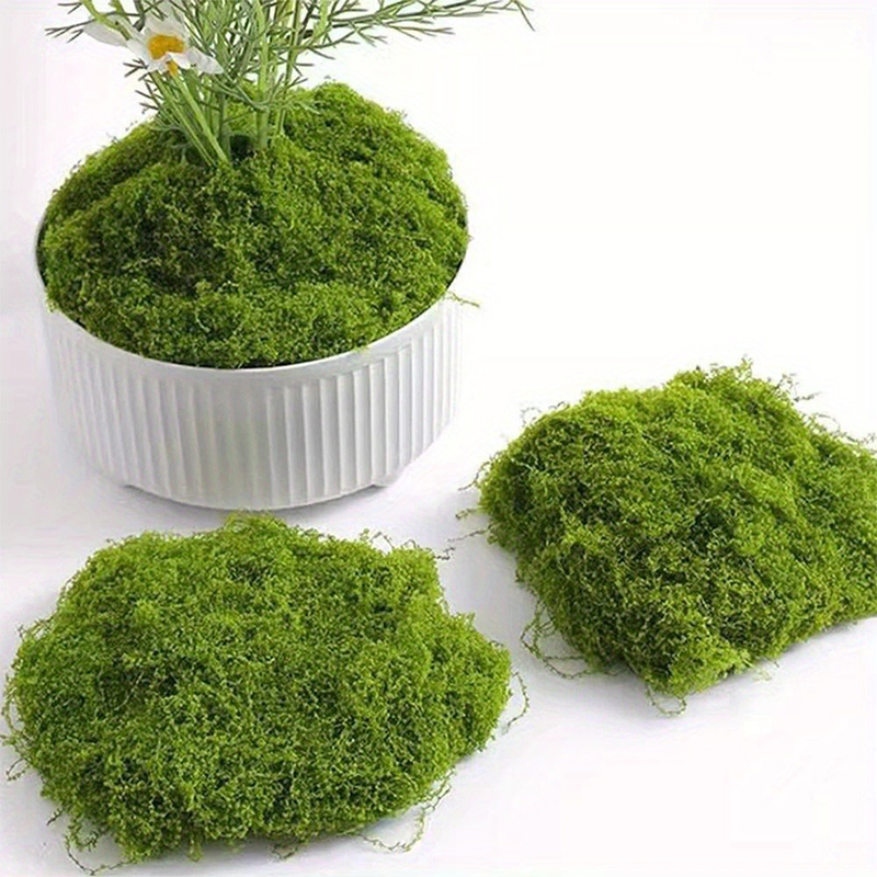 الطحلب الأخضر المزيف DIY الحرف - مراجعة Sphagnum Moss Dry وسعره