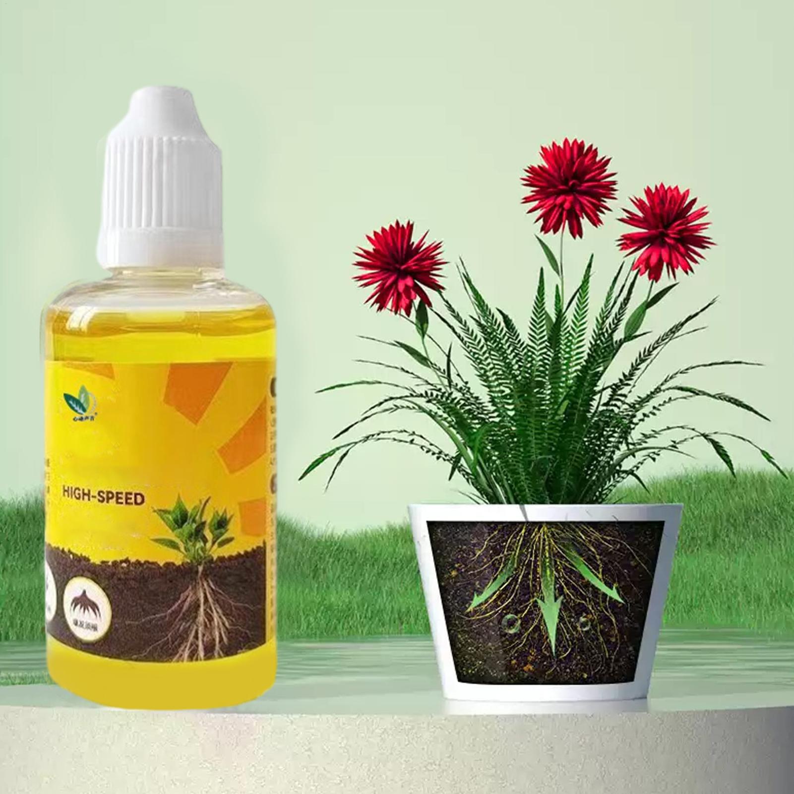 محلول تجذير النباتات السريع 50 - مراجعة Root Stimulator Liquid وسعره