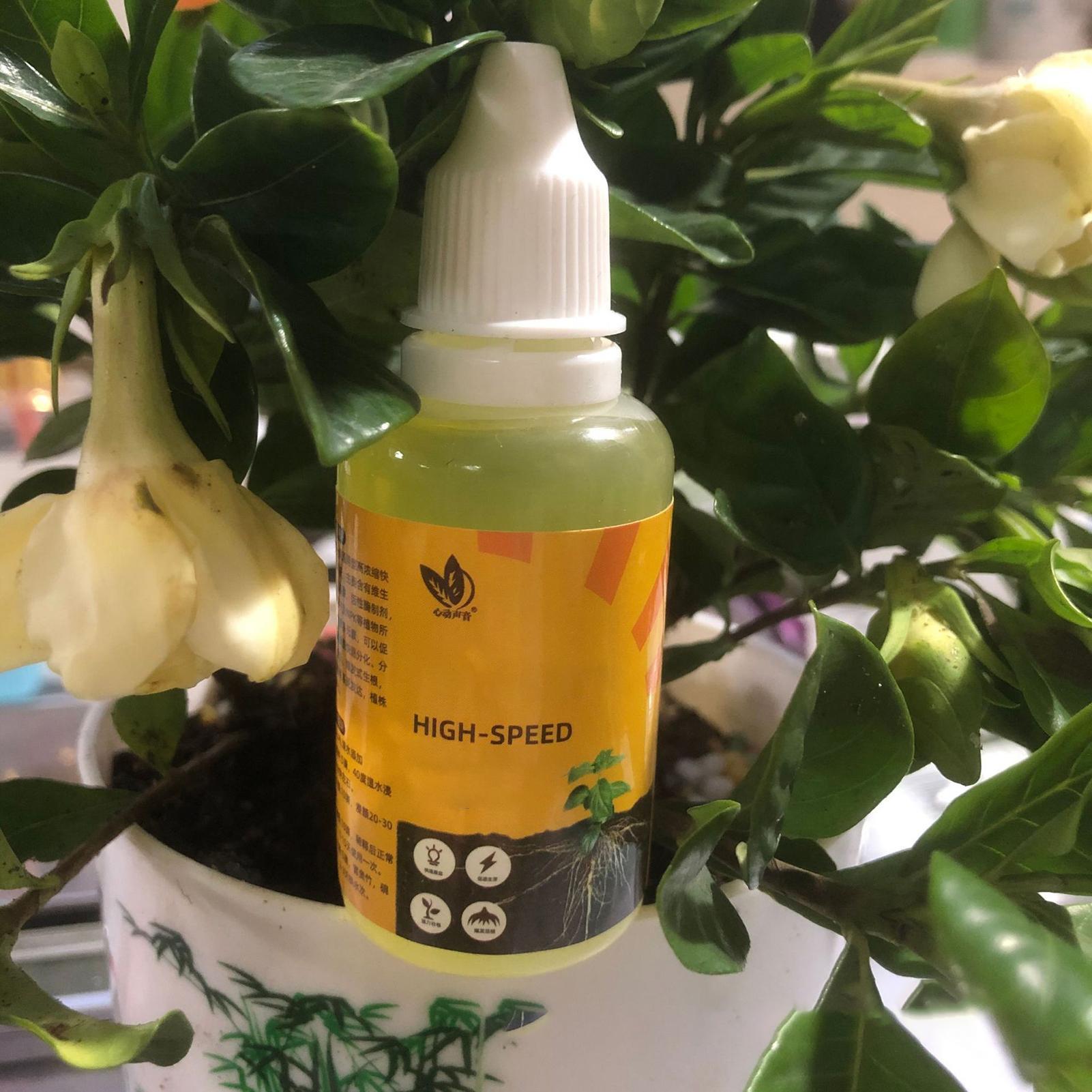محلول تجذير النباتات السريع 50 - مراجعة Root Stimulator Liquid وسعره