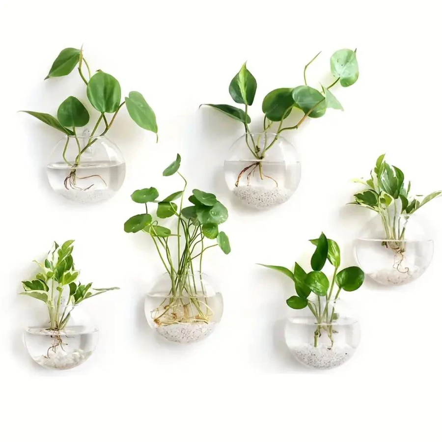 الجدار الشنق الزجاج مصنع تررم  - مراجعة Propagation Station Vase وسعره
