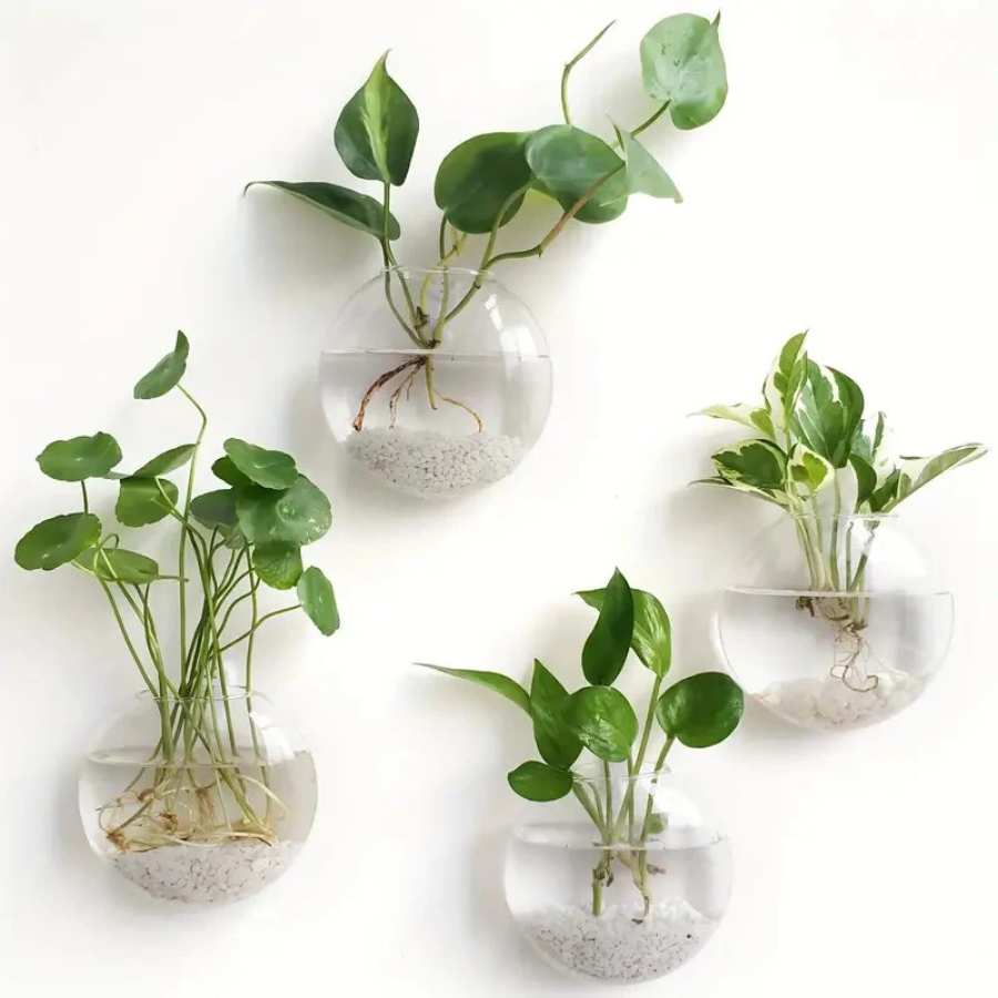 الجدار الشنق الزجاج مصنع تررم  - مراجعة Propagation Station Vase وسعره